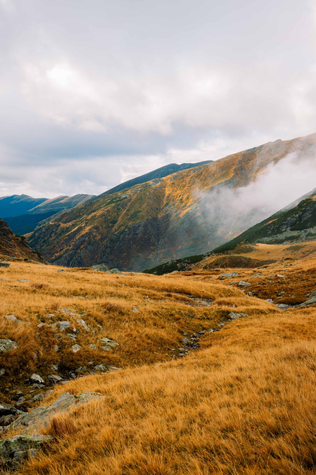 Mountain landscape with autumn grass and clouds