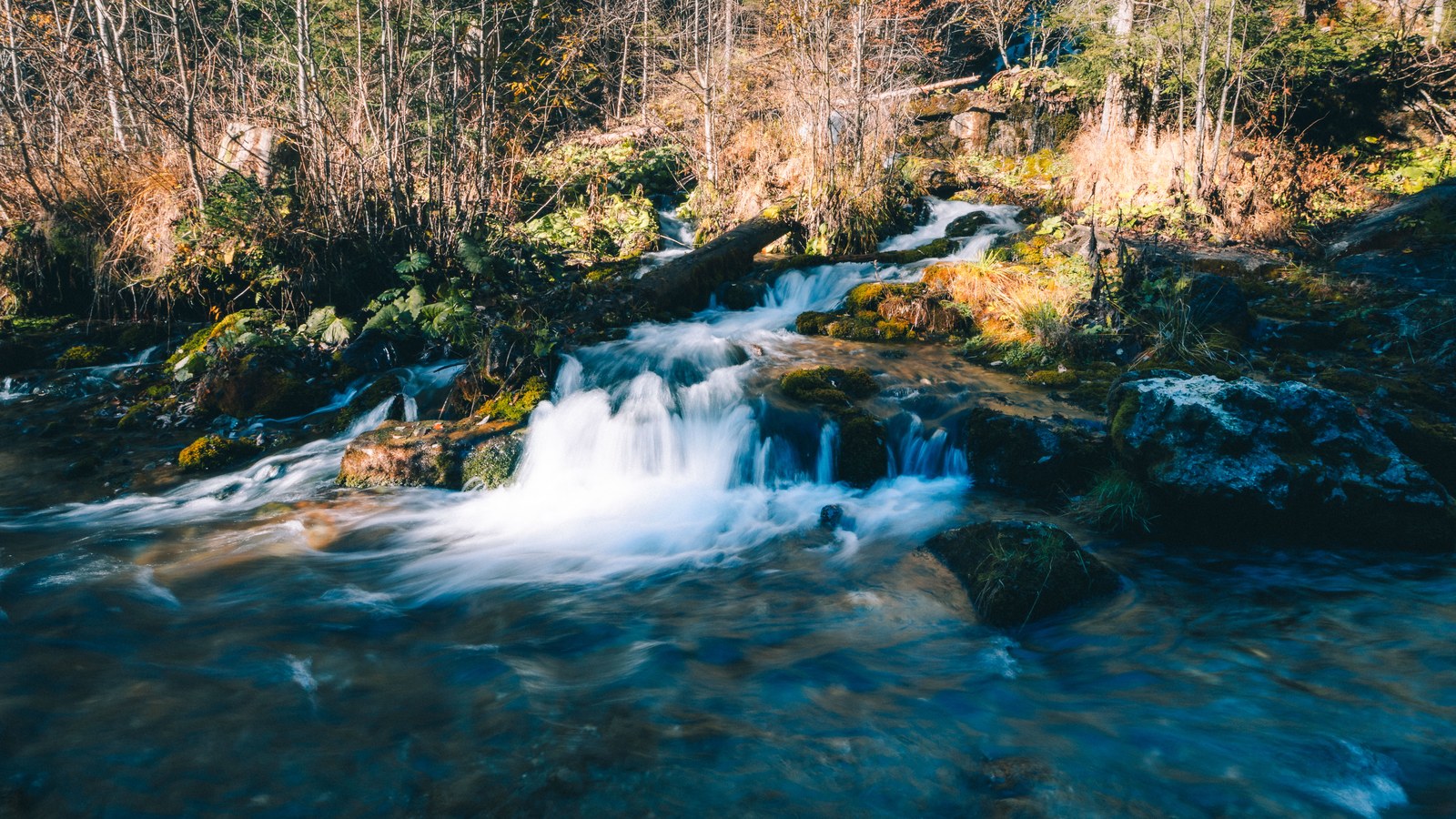 Mountain stream flowing over mossy rocks